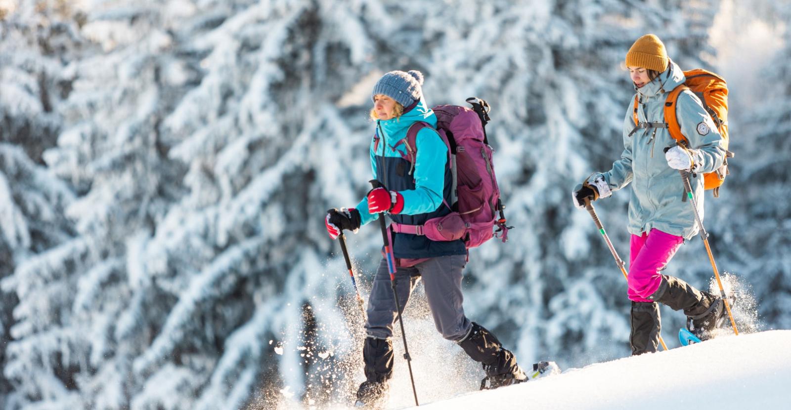 Two people hiking in the snow with winter trekking gear.