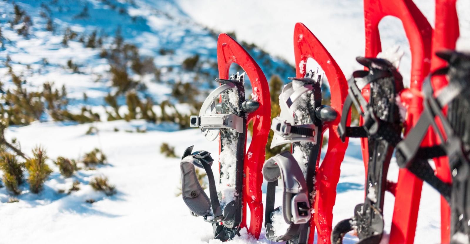 Red snowshoes planted in the snow in a winter landscape.