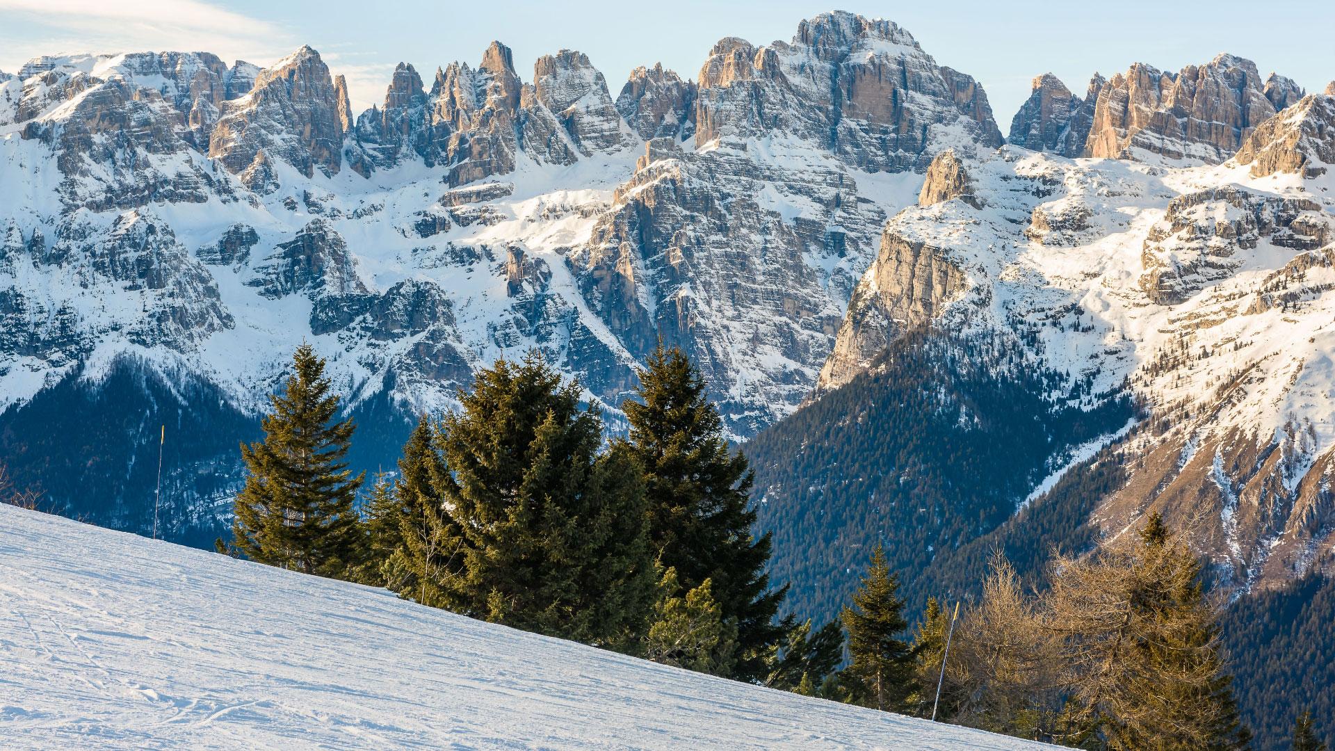 Snowy mountains with trees in the foreground, breathtaking landscape.