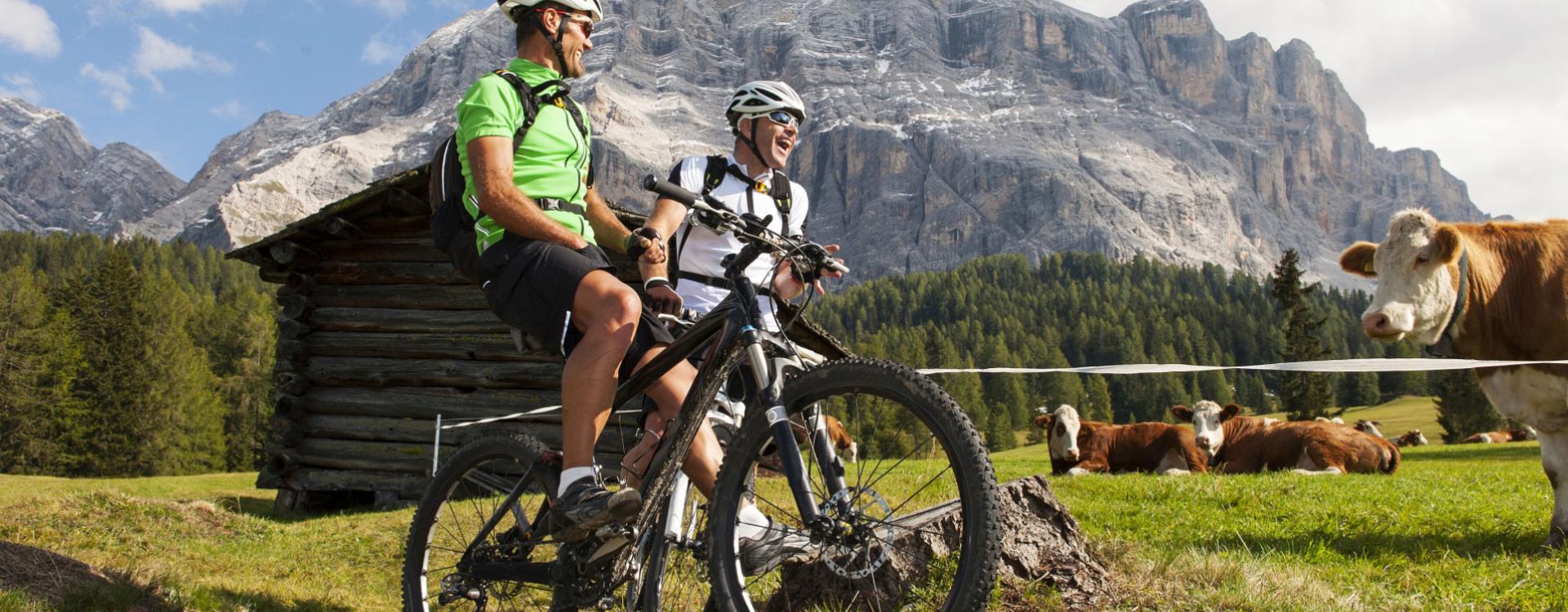Two cyclists in the mountains with grazing cows and mountains in the background.