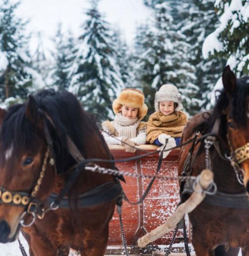 Due bambini su una slitta trainata da cavalli in una foresta innevata.